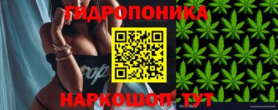 метадон Будённовск